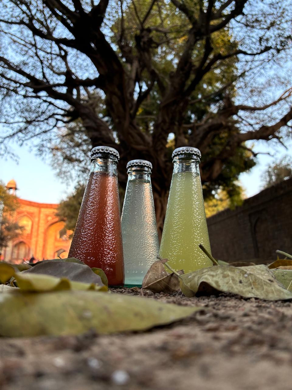 सिrf 3 Pack